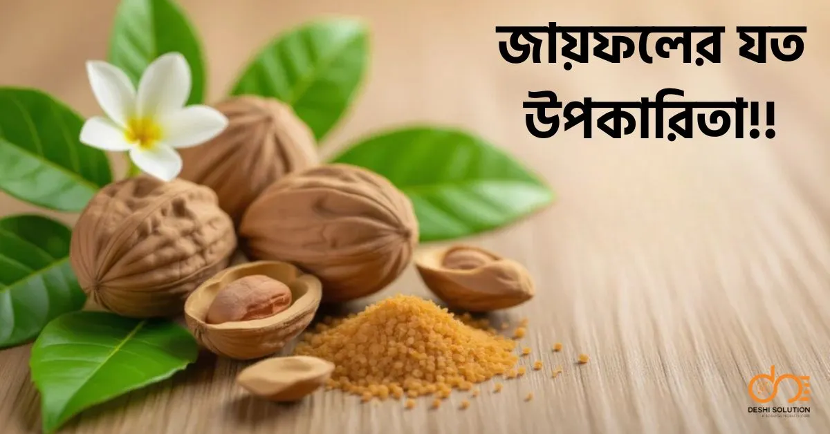 জায়ফলের যত উপকারিতা! জেনেনিন এক্ষুনি
