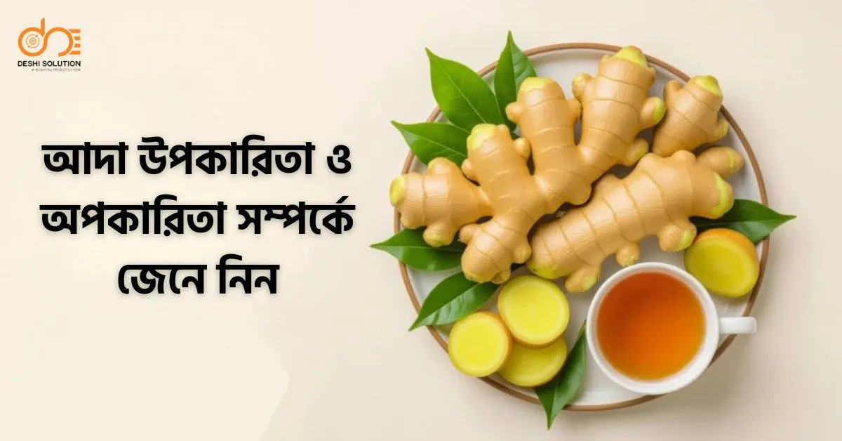 আদা উপকারিতা ও অপকারিতা | জেনেনিন সবকিছু