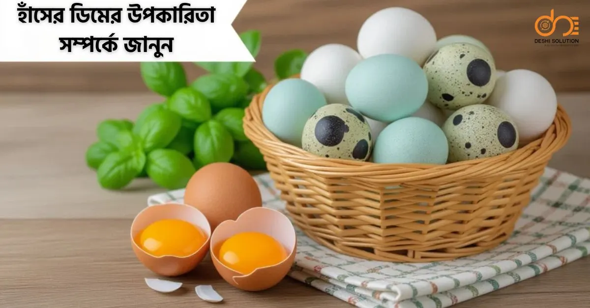 হাঁসের ডিমের উপকারিতা: জেনেনিন ১০টি অভাবনীয় স্বাস্থ্যগুণ!